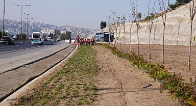 Kuraklığa karşı İzmir’in yeşil örtüsünde dönüşüm
