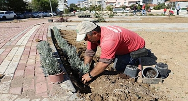 Pati Park’ta Sona Doğru