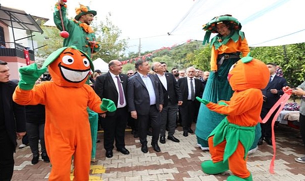 Menderes Mandalina Festivali İle Coşacak